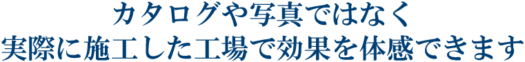 実際に体感できます